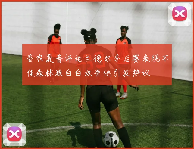 香农夏普评论兰德尔季后赛表现不佳森林狼白白放弃他引发热议