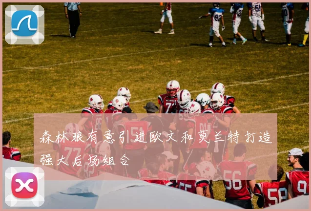 森林狼有意引进欧文和莫兰特打造强大后场组合